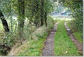 Paadje Verkensbos